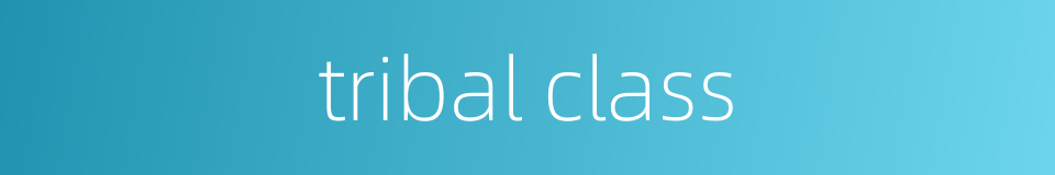 tribal class的同义词