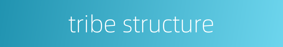 tribe structure的同义词