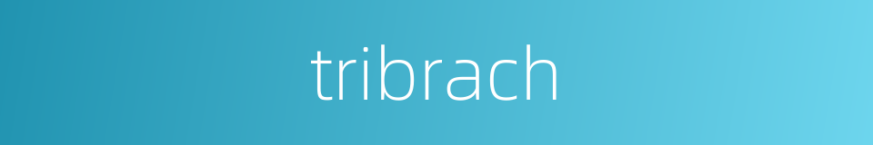 tribrach的同义词