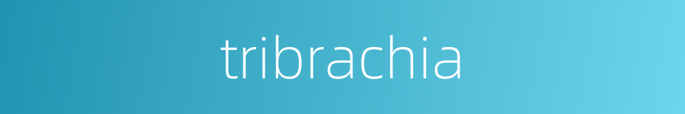 tribrachia的同义词