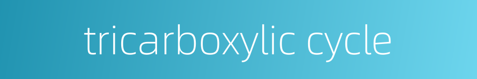 tricarboxylic cycle的同义词