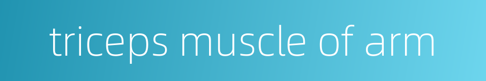 triceps muscle of arm的同义词