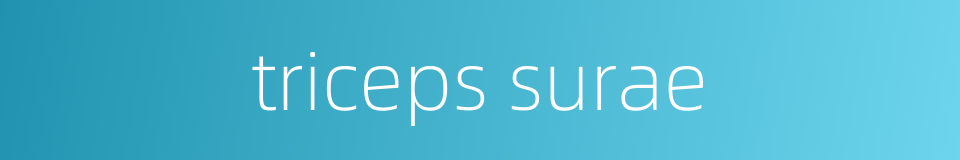 triceps surae的同义词
