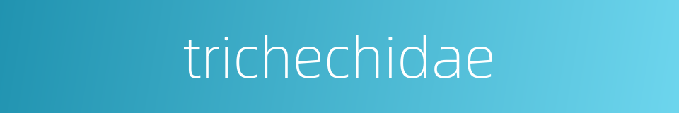 trichechidae的同义词