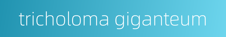 tricholoma giganteum的同义词