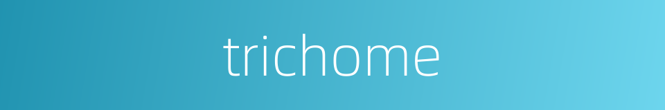 trichome的同义词