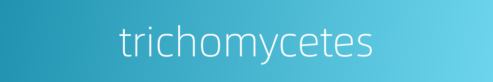 trichomycetes的同义词