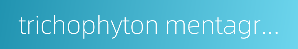 trichophyton mentagrophytes的同义词