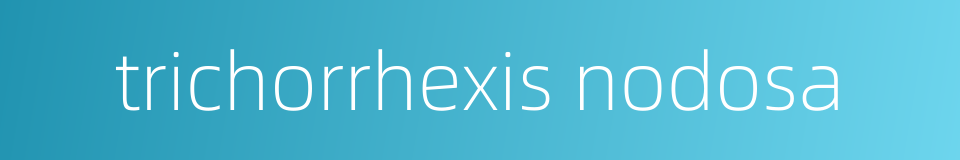 trichorrhexis nodosa的同义词