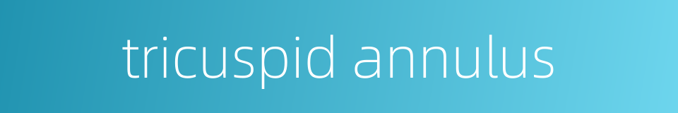 tricuspid annulus的同义词