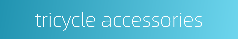 tricycle accessories的同义词