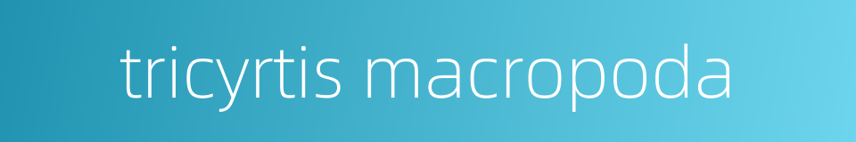 tricyrtis macropoda的同义词