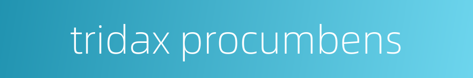 tridax procumbens的同义词