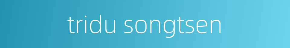 tridu songtsen的同义词