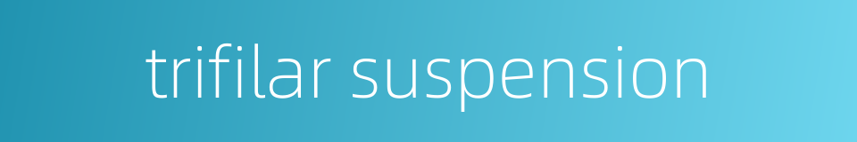 trifilar suspension的同义词