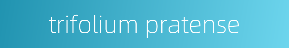 trifolium pratense的同义词