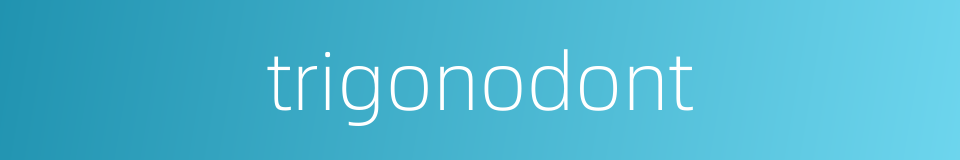 trigonodont的同义词