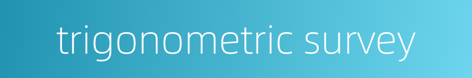 trigonometric survey的同义词
