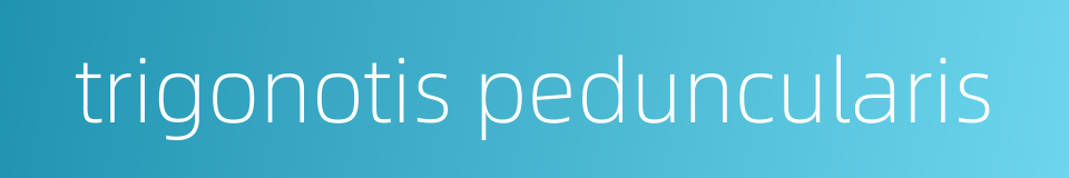 trigonotis peduncularis的同义词
