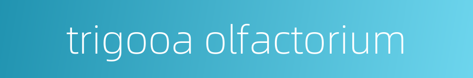 trigooa olfactorium的同义词