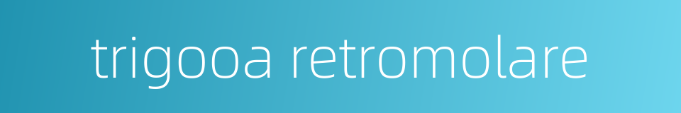 trigooa retromolare的同义词