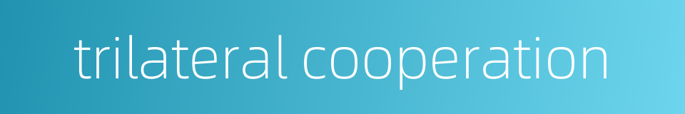 trilateral cooperation的同义词