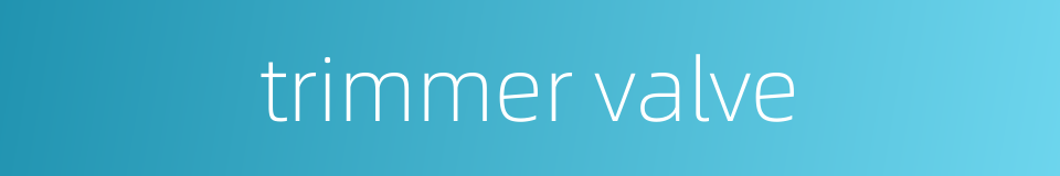 trimmer valve的同义词