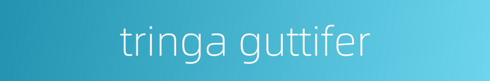tringa guttifer的同义词