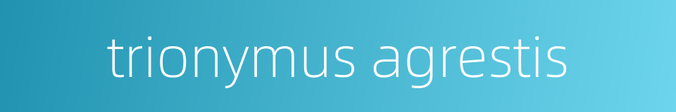 trionymus agrestis的同义词