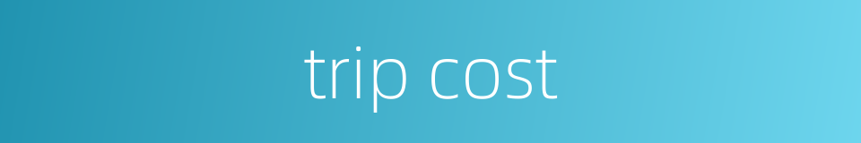 trip cost的同义词