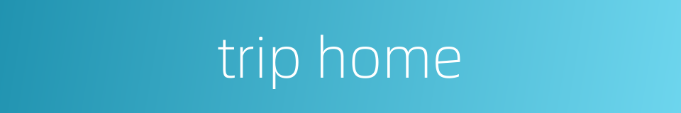 trip home的同义词
