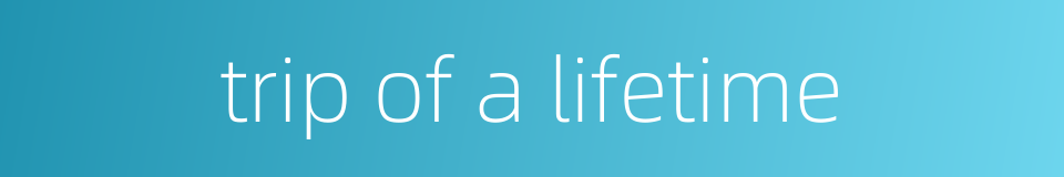 trip of a lifetime的同义词