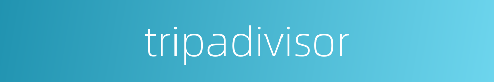 tripadivisor的同义词