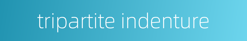 tripartite indenture的同义词
