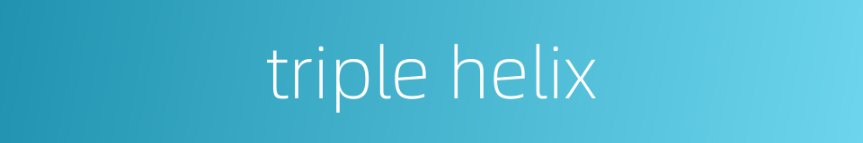 triple helix的同义词