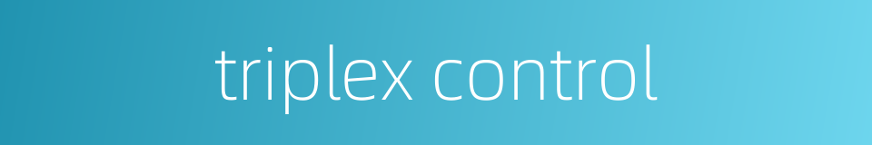 triplex control的同义词