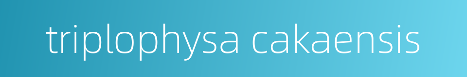 triplophysa cakaensis的同义词