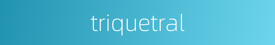 triquetral的同义词