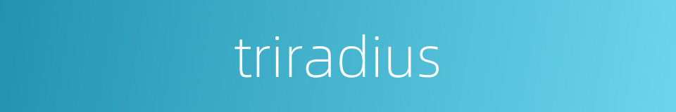 triradius的同义词