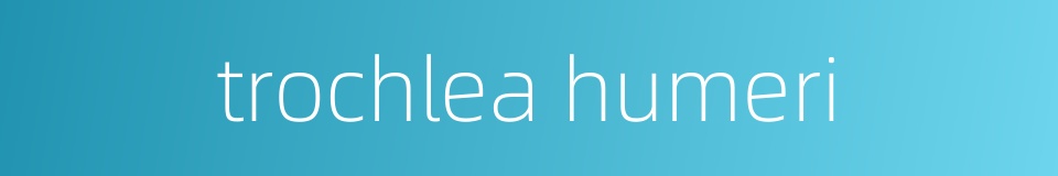 trochlea humeri的同义词