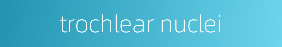 trochlear nuclei的同义词