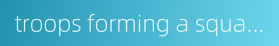 troops forming a squadron的同义词