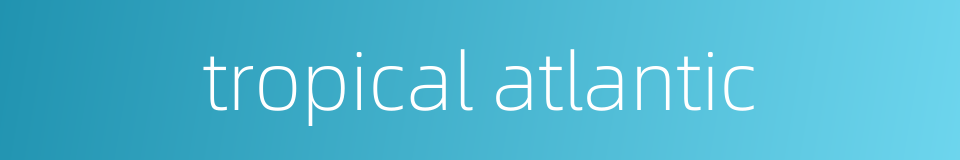 tropical atlantic的同义词