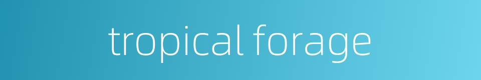 tropical forage的同义词