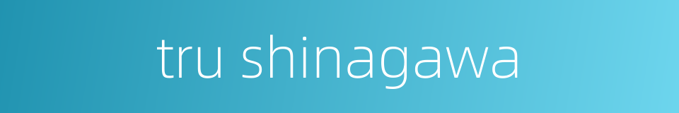 tru shinagawa的同义词