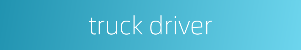 truck driver的同义词