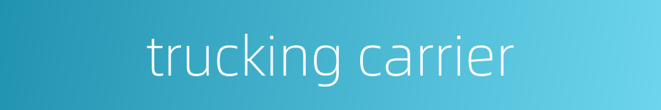 trucking carrier的同义词