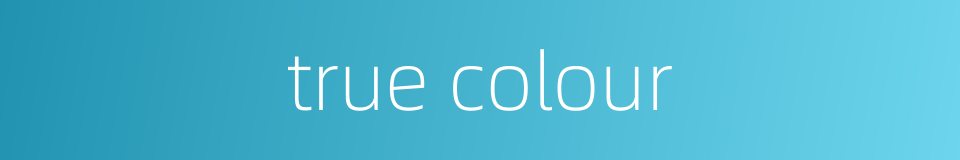 true colour的同义词