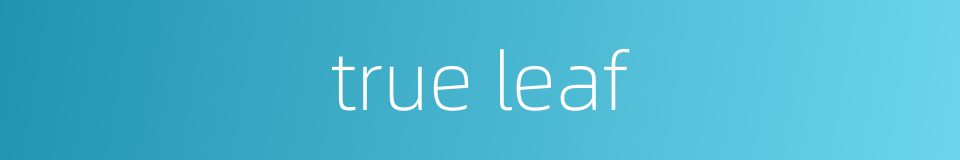 true leaf的同义词