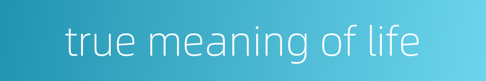 true meaning of life的同义词